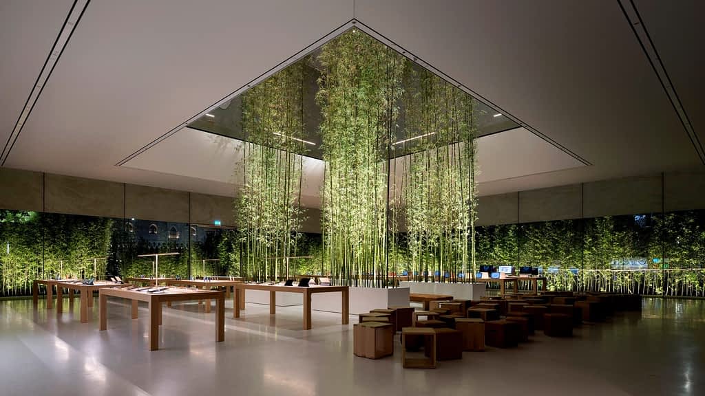 Biophilic Design